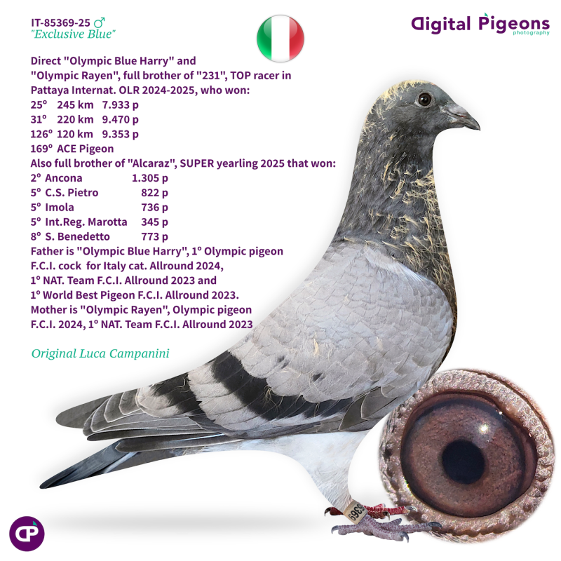 IT-85369-25