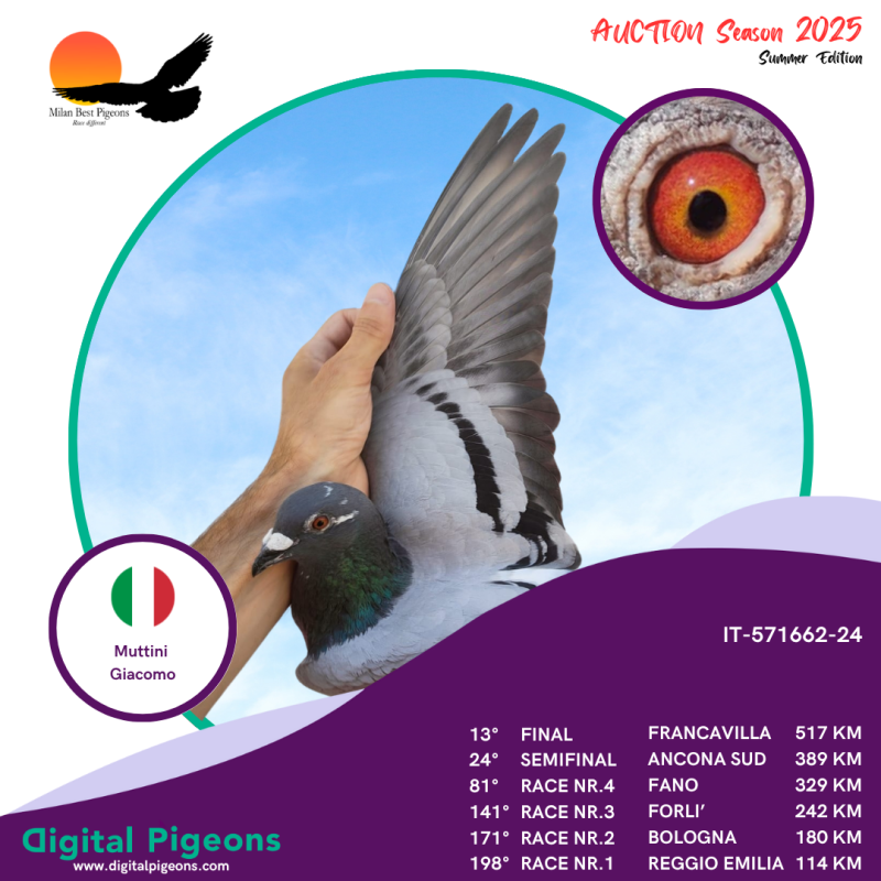 IT-571662-24