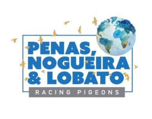 Successo e innovazione: la storia del progetto PNL nella colombofilia portoghese